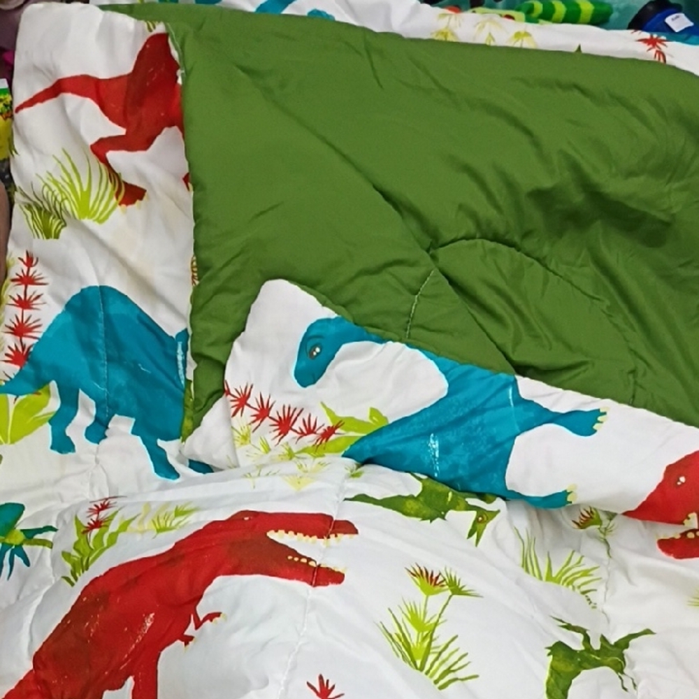 Dinosaur Dreams Comforter Set - Green and Multicolor